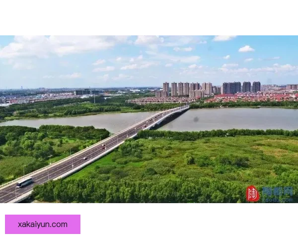 智利队控场能力分析，近期表现稳健，逐步恢复竞争力。